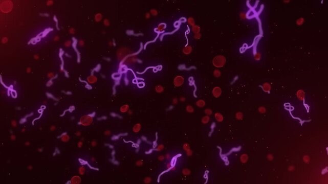 Microscopic view of infectious Ebola Virus cells and red blood cells flowing through the bloodstream. Ebola Virus virions streaming left to right past the camera. Full HD and looping animation.