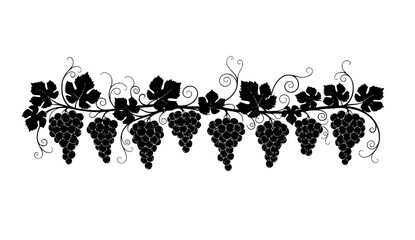 Grapevine border graphic black silhouette with clusters of ripe grapes and leaves isolated 