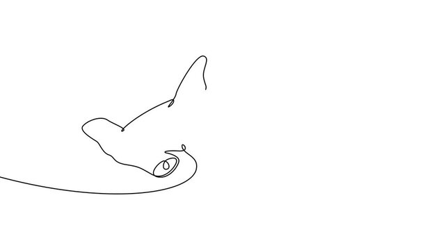 Continuous One Line Hammerhead Shark Ocean Marine Animal Minimal Animation