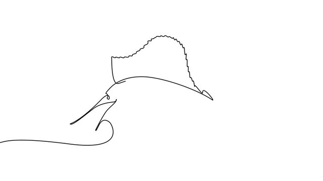 Continuous One Line Sailfish Ocean Marine Fish Minimal Animation