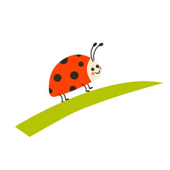 Naklejka premium Ladybug on leaf vector illustration isolated on white background