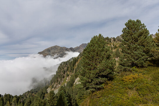 Panoramic mountain view with sea of ​​clouds from the Chamrousse resort in the Belledonne Massif, French Alps