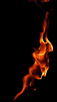 Tongues of bright fire on a black background. Filmed on a high-speed camera at 1000 fps. High quality FullHD footage