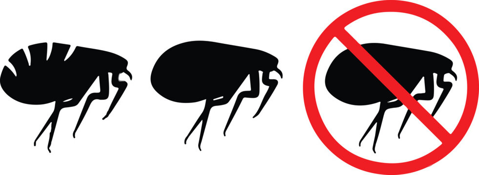 Flea parasites vector icons and no flea sign isolated on white background.