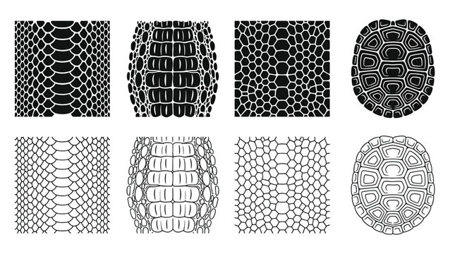 Set of reptile skin textures and turtle shell patterns
