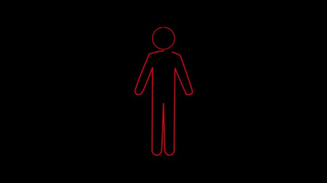 Illustration of a male symbol with a red outline. Animation of a female icon in a looping motion graphic. 4K video. Green screen background.