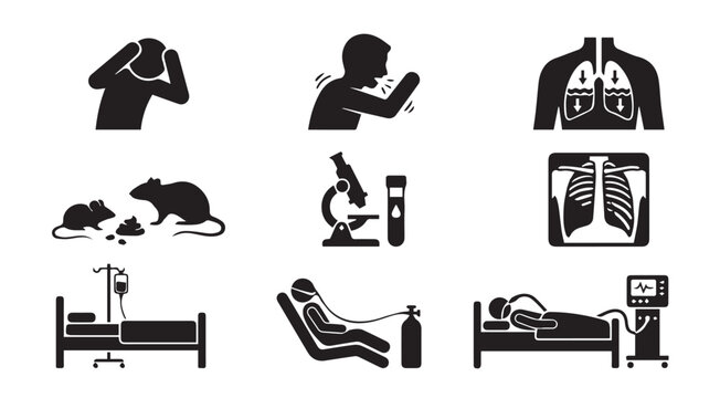 Hantavirus pulmonary syndrome infographic set featuring rodent exposure symptoms lung fluid accumulation medical testing chest xray images and intensive care patient treatment black silhouette icons.