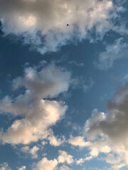 Obraz premium Crescent Moon Between Evening Clouds