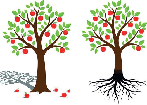 Tree Illustration Collection Featuring Fruit Harvest Trees with Roots and Falling Apples for Nature and Agriculture Designs