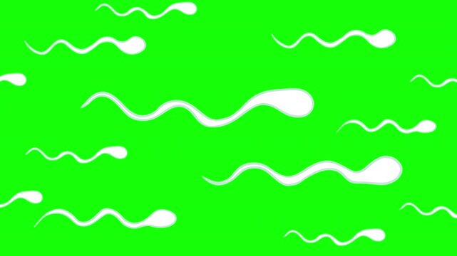 Cartoon 2d animation of numerous human spermatozoa swimming in different directions on bright green screen. Concept of high sperm count, fertility test, biology and reproduction.