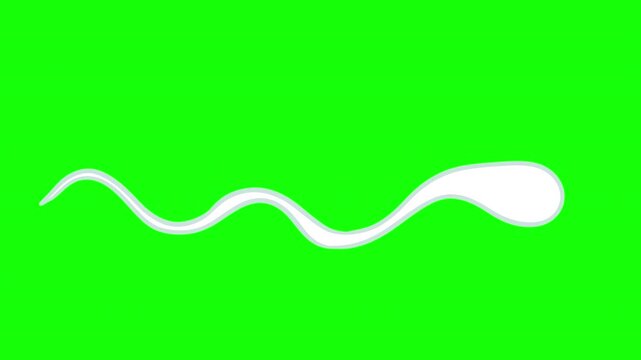 Looping 2d animation single human spermatozoon cell swimming horizontally against on bright green screen background. Cartoon motion element of male fertility, reproduction, and scientific research.