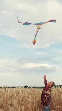 A girl flies a colorful kite in a wheat field. The vibrant kite soars under a cloudy sky, as the girl holds onto the string while enjoying the outdoor scene.