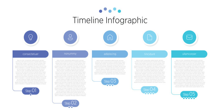 A clear and visually engaging infographic that illustrates 5 sequential steps in a timeline flow, making complex processes easy to understand.