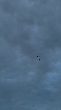 paragliding in the sky