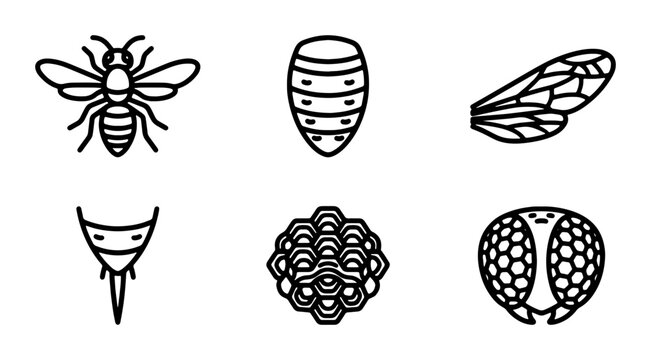 Six Insect Icons: Bee Anatomy, Wing, Hive, Head, Tail, Larva, Vector Art