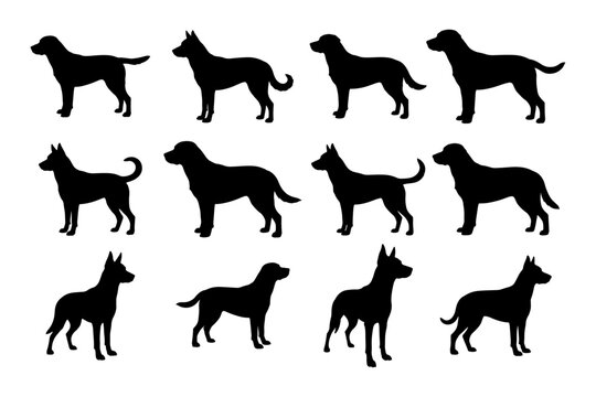 Pure Black Dog Standing Silhouette Vector Illustration for Pet Animal Design