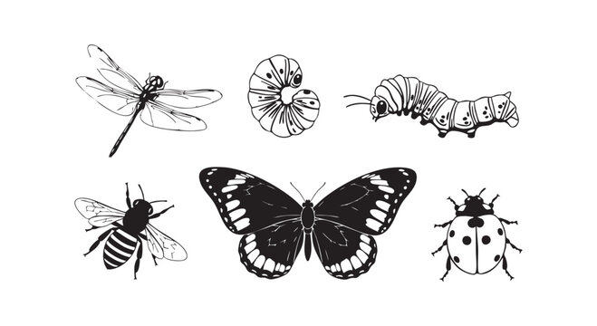Set of insect vector silhouettes including butterflies dragonflies beetles caterpillars isolated on white background.
