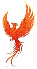 Fototapeta premium Vibrant orange feather with intricate patterns and texture.
