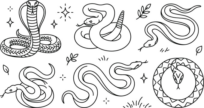Snake vector icon set with cobra rattlesnake ouroboros celestial mystical line art design elements isolated on white background