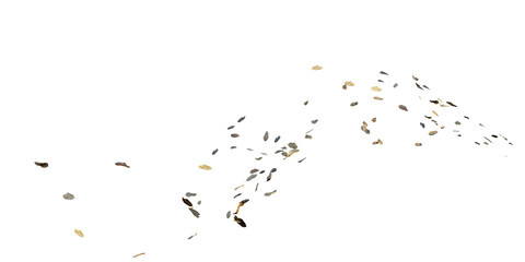 Obraz premium Falling autumn leaves scattered in motion isolated on transparent background for environment design asset. 3D rendering.