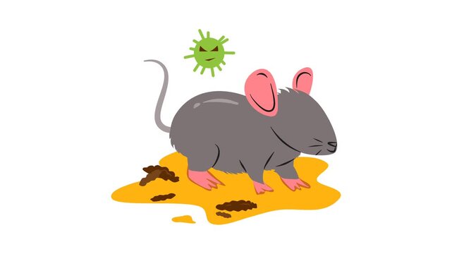 Hantavirus Pulmonary Syndrome illustration animation. 4k video