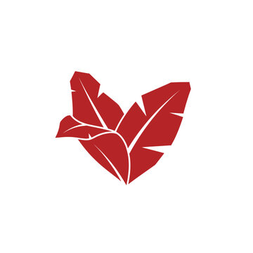Red Tropical Banana Leaves Vector Illustration - Minimalist Botanical Foliage Silhouette on White Background for Logo, Branding, and Decorative Graphic Design