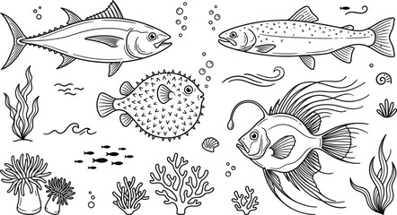 Marine fish and ocean life line icons vector set featuring tuna pufferfish anglerfish salmon coral seaweed and anemone. © S O H A G