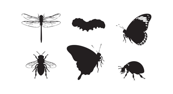 Collection of black insect silhouettes including dragonfly, caterpillar, butterfly, bee, and ladybug on white background.