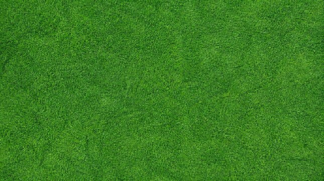 Top view of green grass surface background