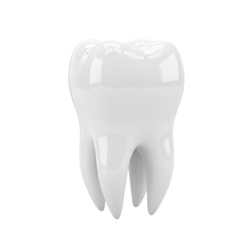 transparent human molar tooth with smooth enamel and defined cusps centered on a transparent background, clinical perfection and scientific study atmosphere