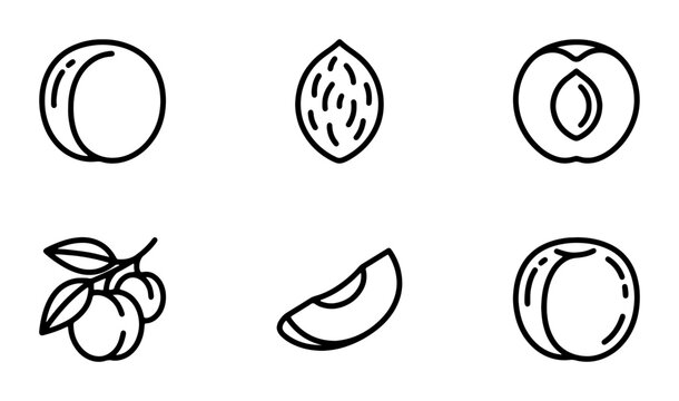 Peach Icons, Fruit Vector Graphics, Sweet Food Symbols, Healthy Ingredient Line Art