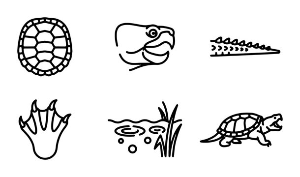 Reptile Icons: Turtle Shell, Head, Tail, Footprint, Water, and Full Body Vector Set