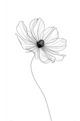 Obraz premium Elegant floral line art illustration.