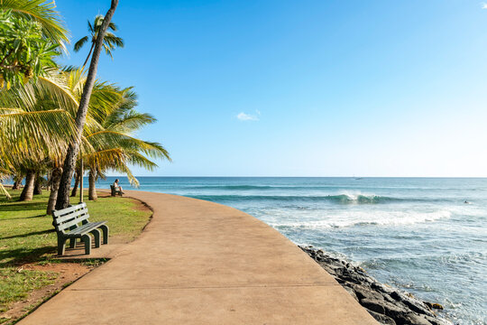 Beautiful summer travel vacation destination landscape showcasing a concrete seaside walkway lined with palm trees at Ala Moana Beach Park in Hawaii