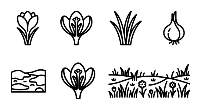 Saffron Crocus Flower Icons, Bulb, Grass, Soil Elements, Vector Set