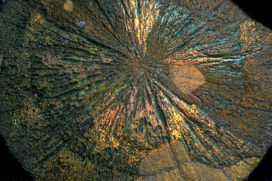 Pyrite Sun Concretion from Illinois coal mines 300' deep layer