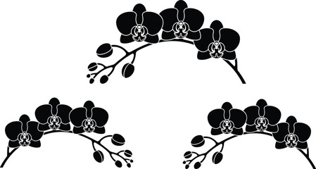Collection of black orchid flower branch silhouettes with blossoms and buds for elegant floral design wedding invitations and decoration vector,. © Mousumi