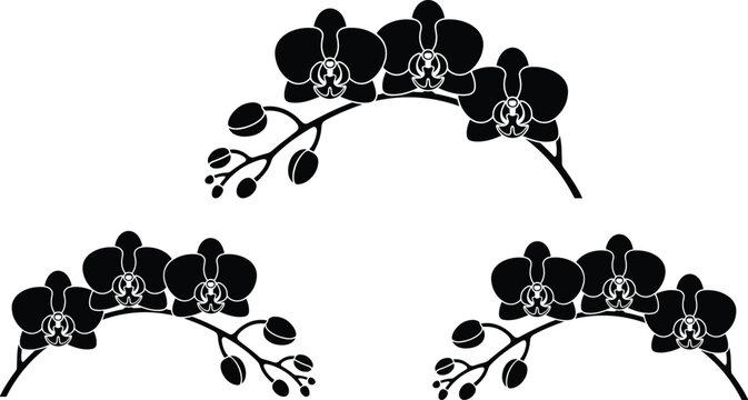 Collection of black orchid flower branch silhouettes with blossoms and buds for elegant floral design wedding invitations and decoration vector,.