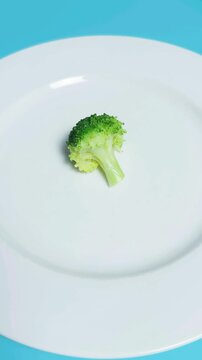 Small broccoli floret centered on a white ceramic plate, minimalist studio composition suggesting portion control, vegan or detox concepts, clean background and fresh green