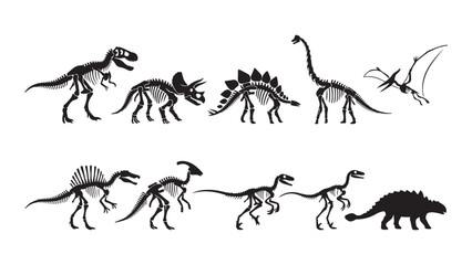 Collection of Diverse Dinosaur Skeletons Vector Illustration © MdDulal
