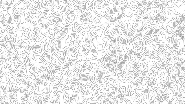 Topographic map contour lines pattern abstract black and white geographic terrain elevation line art background vector seamless wavy texture