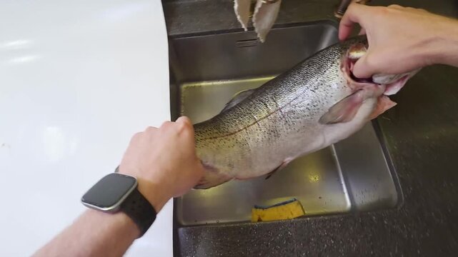 Preparing fresh trout in a kitchen sink