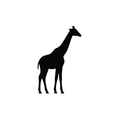 Fototapeta premium Giraffe Silhouette Minimalist Black Wild Animal Icon Vector Illustration