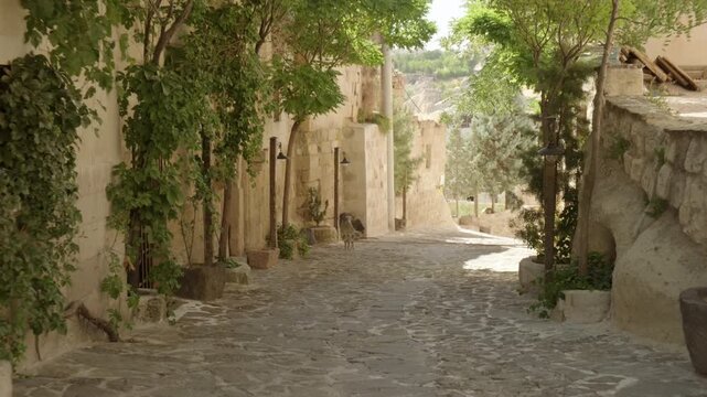 Walking along a beautiful old narrow cobbled street in an alley of houses in Ortahisar village of Nevsehir province in historical region of Cappadocia T&uuml;rkiye