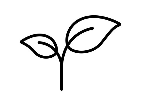葉っぱアイコン　緑の新芽