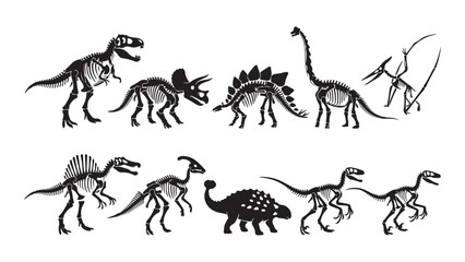 Collection of Dinosaur Skeletons and Fossils on White Background © Anzuman