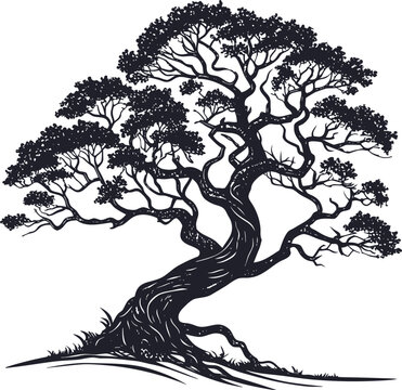 Vector silhouette of an ancient, twisted tree with extensive knotted roots and dense foliage 