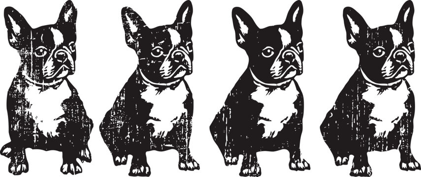set of four black and white french bulldog portraits with detailed fur texture