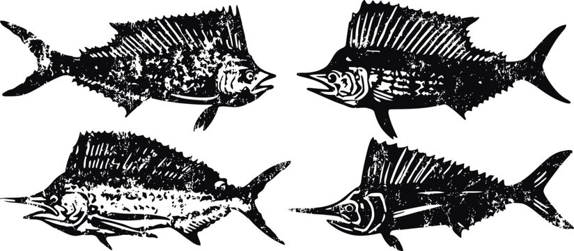 sailfish and marlin vintage fish illustrations black and white engraved aquatic animals collection