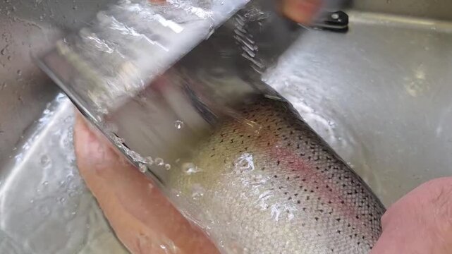 How to prepare fish in a simple kitchen setting